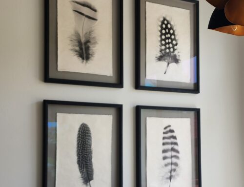 4 Feather Prints
