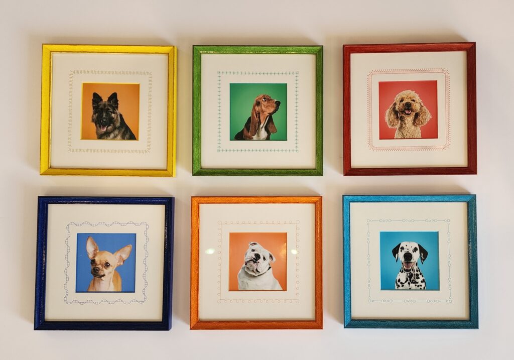 Brightly colored dog photo portraits in rainbow colored frames with designs my Wizard CMC