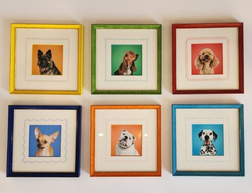 Colorful Dog Portrait Photo Collage