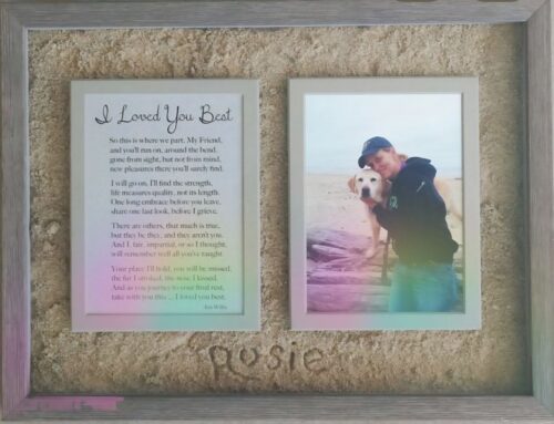 Rosie’s Precious Pet Memorial